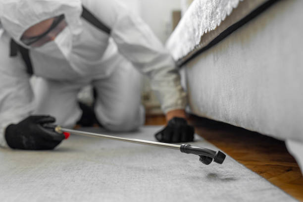 Professional Bed Bug Control technician working in Bertsch-Oceanview, CA