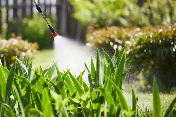 24/7 Emergency Bed Bug Control experts in Bertsch-Oceanview, CA