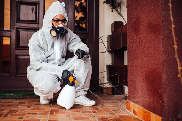 Reliable Bed Bug Control contractor in Bertsch-Oceanview, CA by Nex Pest Control