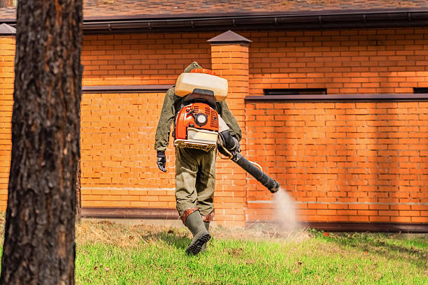 Top rated local Bed Bug Control specialists in Bertsch-Oceanview, CA